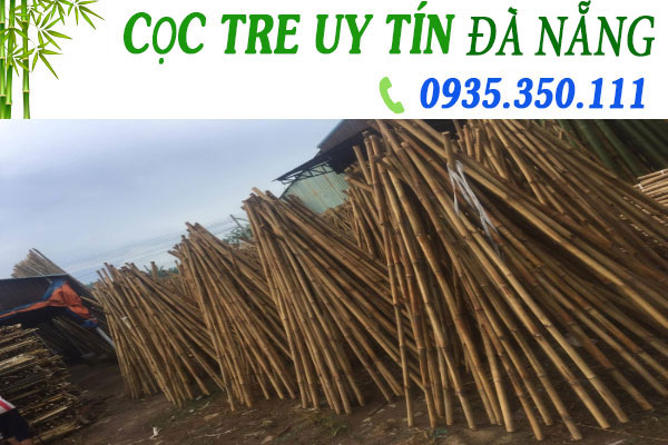 Bán cọc tre thi công Đà Nẵng